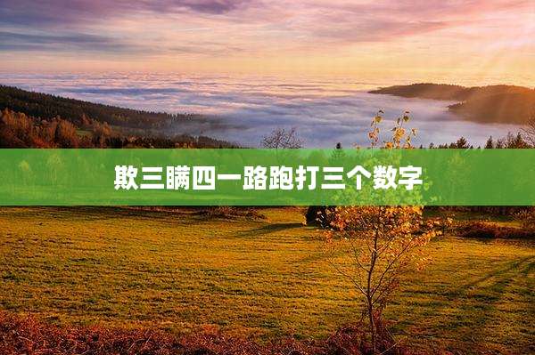 欺三瞒四一路跑打三个数字