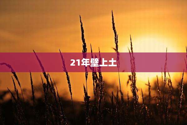 21年壁上土