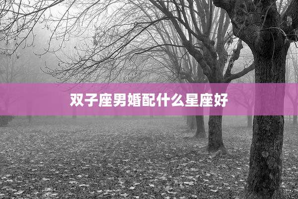 双子座男婚配什么星座好