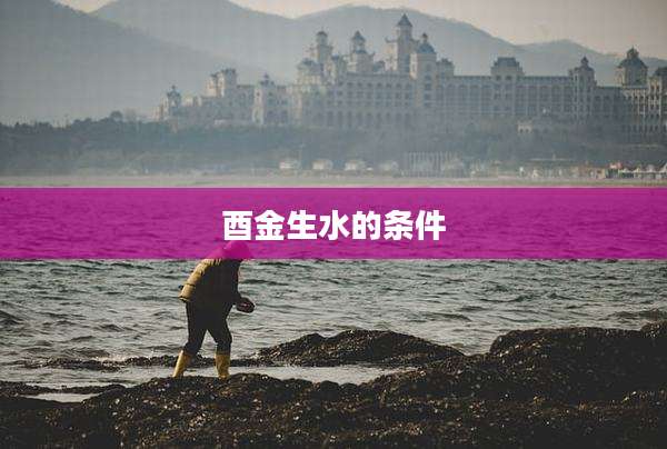 酉金生水的条件
