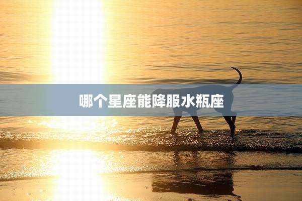 哪个星座能降服水瓶座