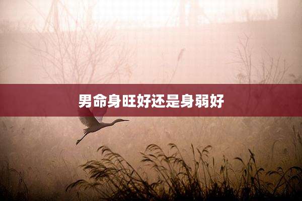 男命身旺好还是身弱好