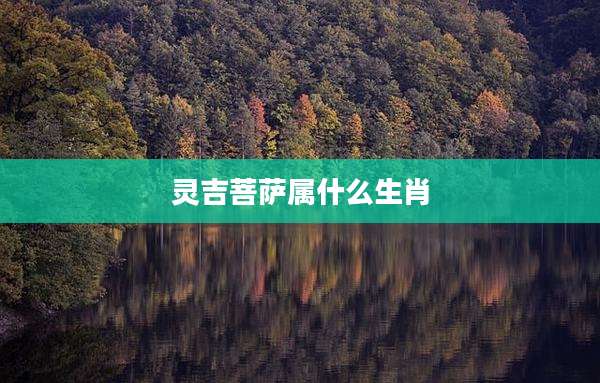灵吉菩萨属什么生肖