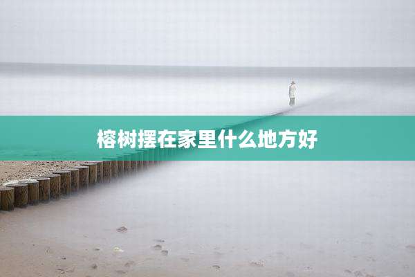 榕树摆在家里什么地方好