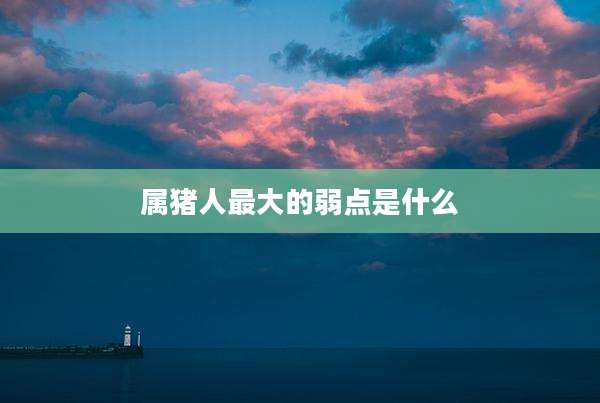 属猪人最大的弱点是什么