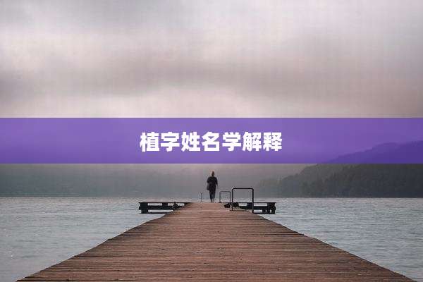 植字姓名学解释