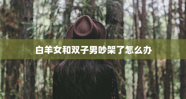 白羊女和双子男吵架了怎么办