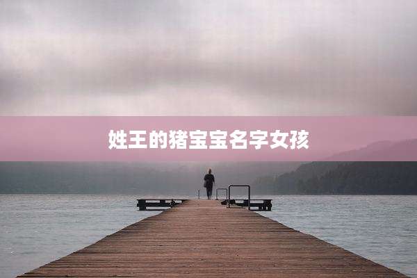 姓王的猪宝宝名字女孩