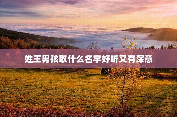 姓王男孩取什么名字好听又有深意