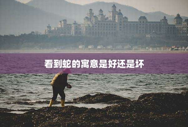 看到蛇的寓意是好还是坏