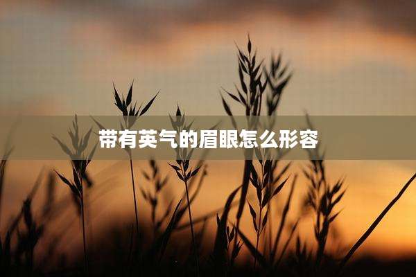 带有英气的眉眼怎么形容
