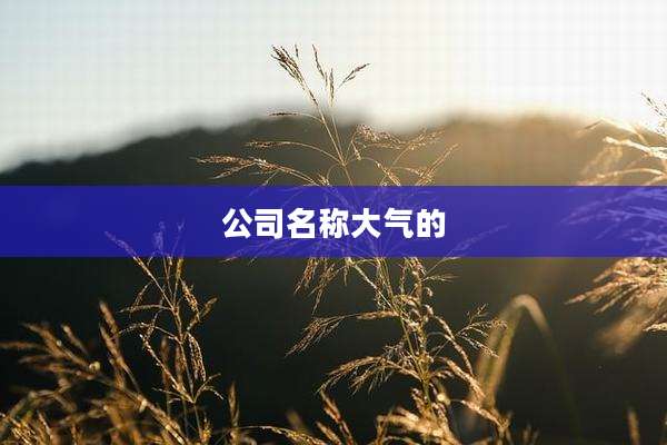 公司名称大气的
