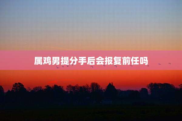 属鸡男提分手后会报复前任吗