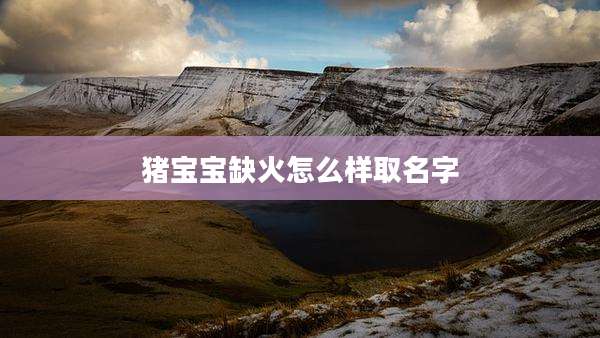 猪宝宝缺火怎么样取名字