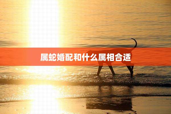 属蛇婚配和什么属相合适