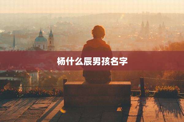 杨什么辰男孩名字