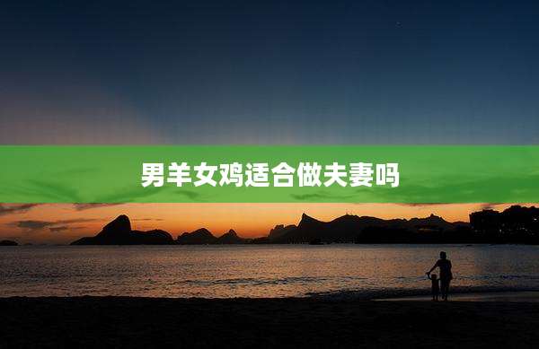 男羊女鸡适合做夫妻吗