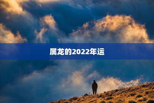 属龙的2022年运