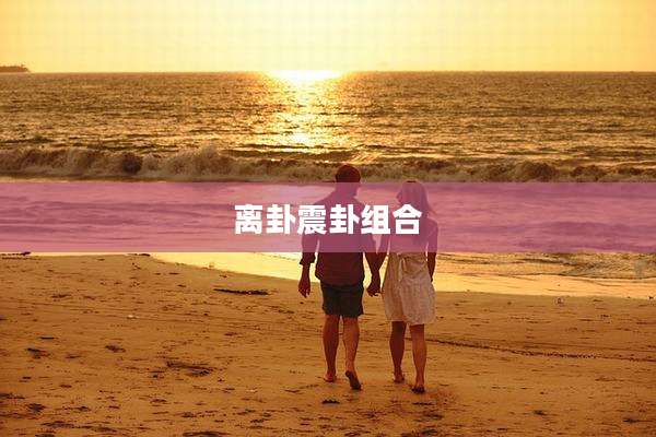 离卦震卦组合