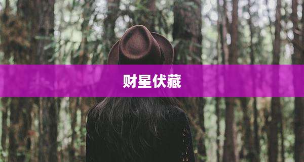 财星伏藏