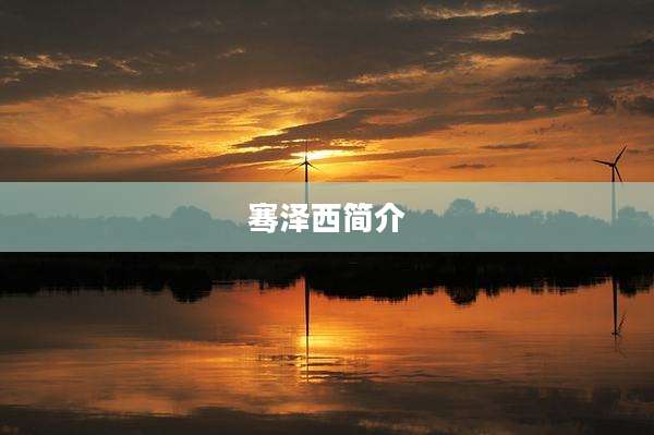骞泽西简介