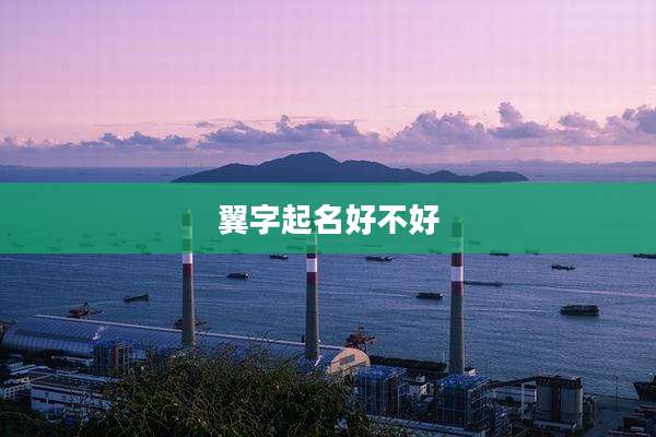 翼字起名好不好