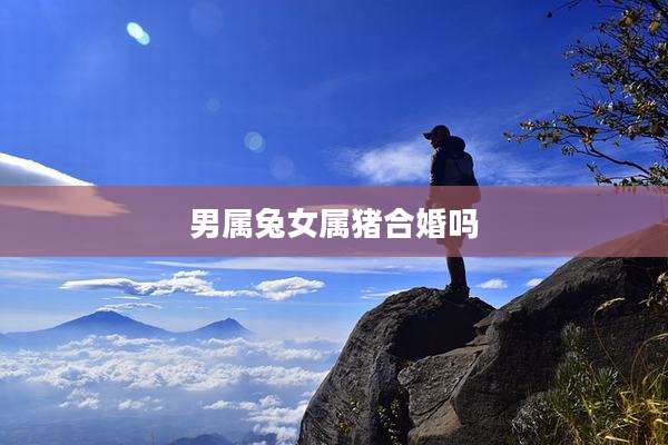 男属兔女属猪合婚吗