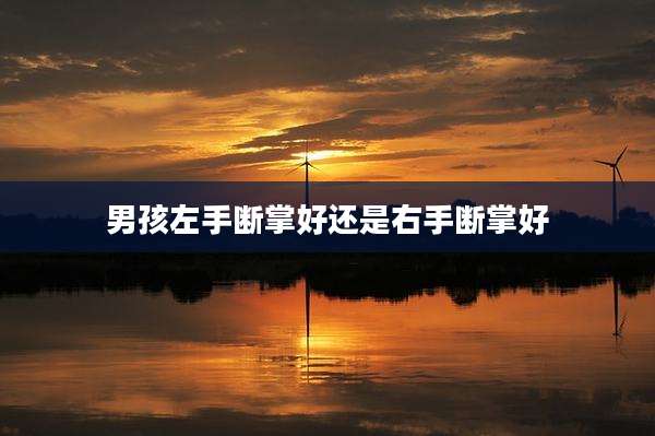 男孩左手断掌好还是右手断掌好