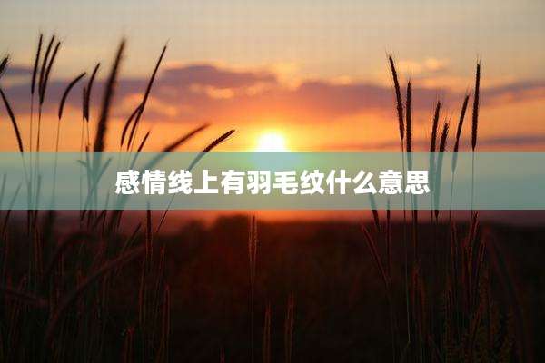 感情线上有羽毛纹什么意思