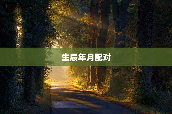 生辰年月配对