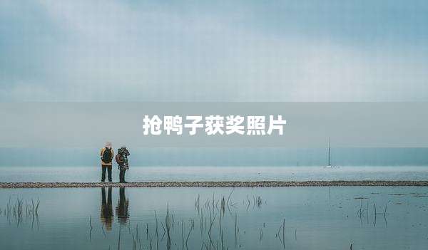 抢鸭子获奖照片
