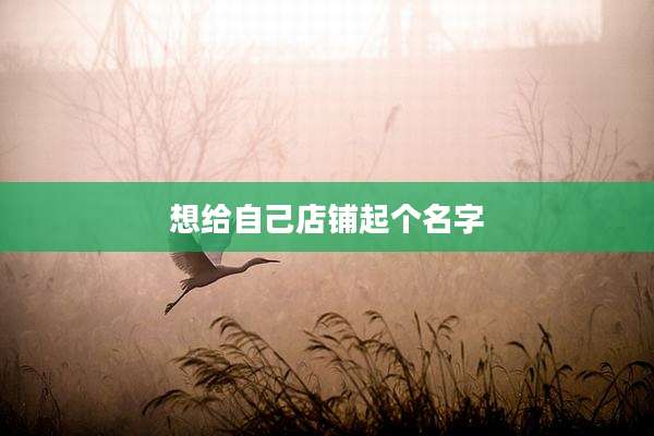 想给自己店铺起个名字