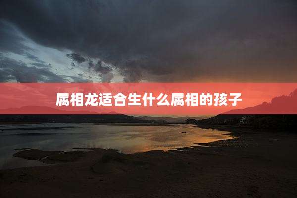 属相龙适合生什么属相的孩子