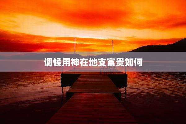 调候用神在地支富贵如何