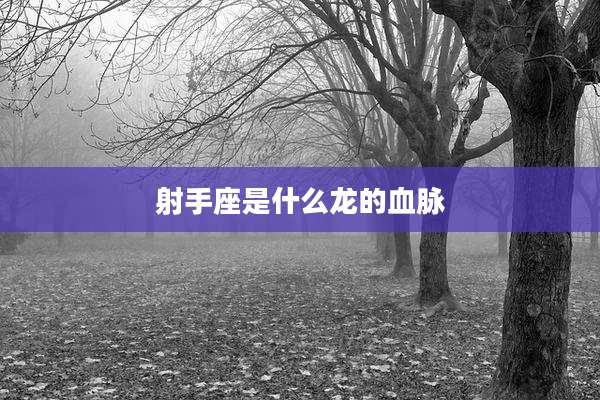 射手座是什么龙的血脉