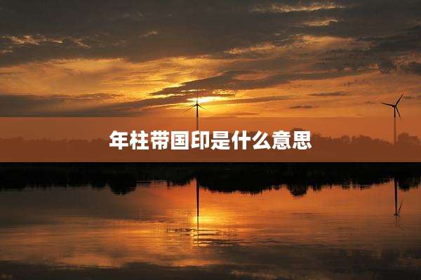 年柱带国印是什么意思