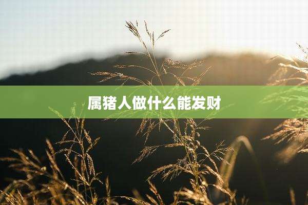 属猪人做什么能发财