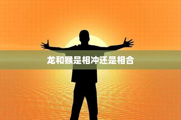 龙和猴是相冲还是相合