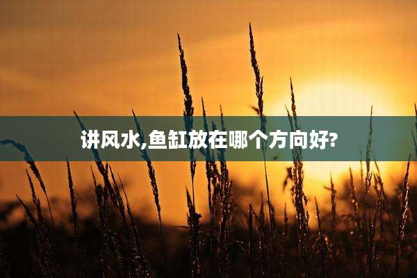讲风水,鱼缸放在哪个方向好?