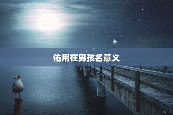 佑用在男孩名意义
