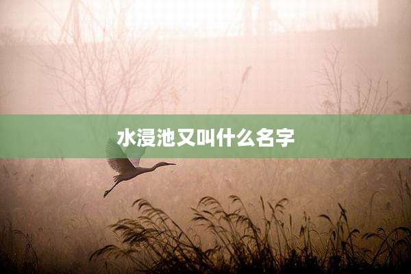 水浸池又叫什么名字