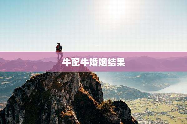 牛配牛婚姻结果