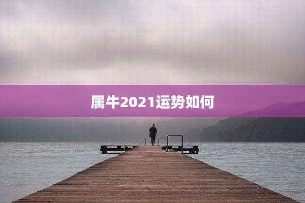 属牛2021运势如何