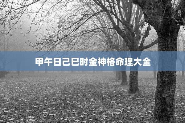 甲午日己巳时金神格命理大全