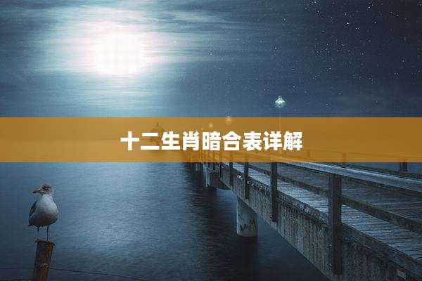 十二生肖暗合表详解