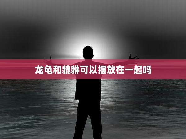 龙龟和貔貅可以摆放在一起吗