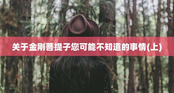 关于金刚菩提子您可能不知道的事情(上)