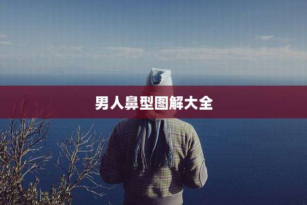 男人鼻型图解大全