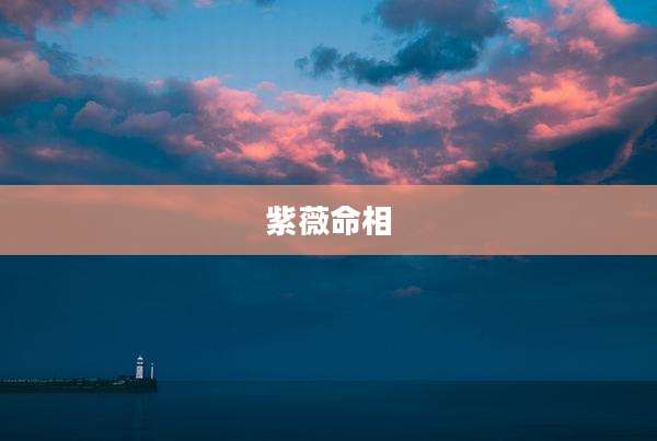 紫薇命相