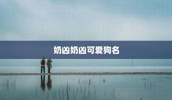 奶凶奶凶可爱狗名